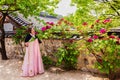 Beautiful woman asian girl Hanbok dress Korea.Woman in Korean Traditional Dress.Smiling korea woman dress traditional Royalty Free Stock Photo