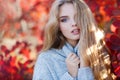 Beautiful woman in autumn park Royalty Free Stock Photo