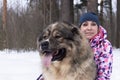 A Beautiful woman with a big fluffy dog in nature, Caucasian guard sheepdog