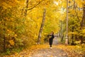 A beautiful woman in a black coat walks through the autumn park. A woman holds a small yorkshire Terrier dog in her Royalty Free Stock Photo