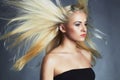Beautiful woman in black dress. blond girl.healthy hair.Beauty salon Royalty Free Stock Photo