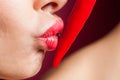 Beautiful woman in black lace lingerie posing in studio with red background. She is playing with chili pepper. Royalty Free Stock Photo