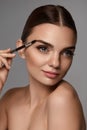 Beautiful Woman Brushing Eyebrows With Brow Tool Royalty Free Stock Photo