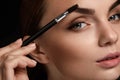 Beautiful Woman Brushing Eyebrows With Brush. Beauty Royalty Free Stock Photo