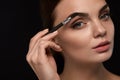 Beautiful Woman Brushing Eyebrows With Brush. Beauty Royalty Free Stock Photo