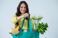 Beautiful woman carrying grocery bag Royalty Free Stock Photo