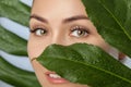 Beautiful woman with clean skin on a background of a sheet of monstera with drops of water. Eyelash Extension Procedure