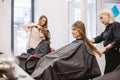 Beautiful woman combing wet hair. stylist brushing woman hair in salon. Hairdresser Serving Customer. Professional Young Royalty Free Stock Photo