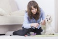 Woman cuts the claws of a small Maltese dog