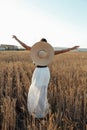 Beautiful woman with dark hair in elegant dress and big straw hat posing among wheat summer field