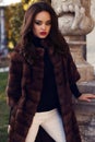 Beautiful woman with dark hair in luxurious fur coat Royalty Free Stock Photo