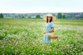 Beautiful woman with dark hair wearing a hat outdoors in a chamomile field. Collects flowers in a basket and a bouquet of Royalty Free Stock Photo