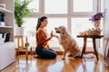 beautiful woman doing high five her adorable golden retriever dog at home. love for animals concept. lifestyle indoors Royalty Free Stock Photo