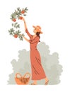 Beautiful woman in dress is harvesting apples