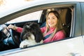 Beautiful woman driving with a puppy in her lap