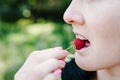 Beautiful woman eating big red raspberry, sweet raspberries isolated on green background field, on a farm at sunset. Harvest. Royalty Free Stock Photo