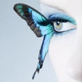 Beautiful woman eye close up with butterfly wings Royalty Free Stock Photo