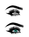 Beautiful woman eyes close-up, thick long eyelashes, black and white vector