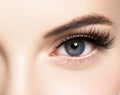 Beautiful woman face with eyelashes lashes extension before and after beauty healthy skin natural makeup closed eyes Royalty Free Stock Photo