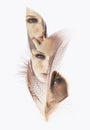 Beautiful woman with feather, double exposure, overlay