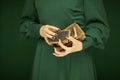 Beautiful woman figure in dark green 50`s dress holding vintage book Royalty Free Stock Photo