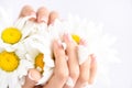 Beautiful woman french manicured hands with fresh daisy flowers Royalty Free Stock Photo