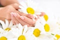 Beautiful woman french manicured hands with fresh daisy flowers Royalty Free Stock Photo