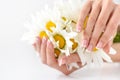 Beautiful woman french manicured hands with fresh daisy flowers Royalty Free Stock Photo