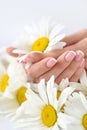 Beautiful woman french manicured hands with fresh daisy flowers Royalty Free Stock Photo