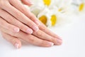 Beautiful woman french manicured hands with fresh daisy flowers