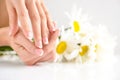 Beautiful woman french manicured hands with fresh daisy flowers Royalty Free Stock Photo