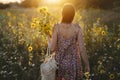Beautiful woman gathering sunflowers in warm sunset light in summer meadow. Tranquil atmospheric moment in countryside. Stylish