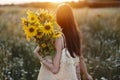 Beautiful woman gathering sunflowers in warm sunset light in summer meadow. Tranquil atmospheric moment in countryside. Stylish