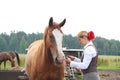 Beautiful woman getting horse ready for the riding Royalty Free Stock Photo