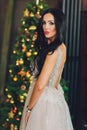 Beautiful woman girl in new year& x27;s studio posing, photo new year photo session. Beautiful girl in a luxurious dress with Royalty Free Stock Photo