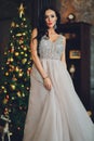 Beautiful woman girl in new year& x27;s studio posing, photo new year photo session. Beautiful girl in a luxurious dress with Royalty Free Stock Photo