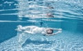 Beautiful woman girl white dress underwater diving swim blue sunny day pool Royalty Free Stock Photo