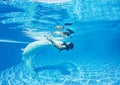 Beautiful woman girl white dress underwater diving swim blue sunny day pool Royalty Free Stock Photo