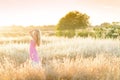 A beautiful woman in golden hay field 6 Royalty Free Stock Photo