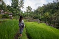 Beautiful woman on green rice fields in Bali