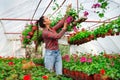 Woman in a greenhouse. Girl holding vase with green plant. Royalty Free Stock Photo