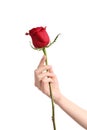 Beautiful woman hand holding a red rose