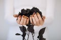 Beautiful woman hands with cute halloween nail polish holding black roses