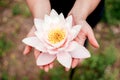 Beautiful woman hands holding water lily flower. Royalty Free Stock Photo