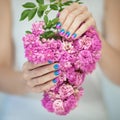 Beautiful woman hands with perfect violet pink and turquoise nail polish holding pink roses Royalty Free Stock Photo