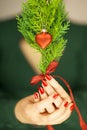 Beautiful woman hands with red nail polish holding pine branch with christmas decorations Royalty Free Stock Photo