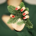 Beautiful woman hands with red nail polish holding pine branch with christmas decorations Royalty Free Stock Photo