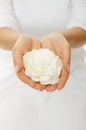Beautiful woman hands with white gardenia