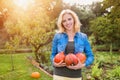 Beautiful woman harvesting pumpkins