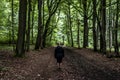 Beautiful woman hiker standing on forest trail looking away. Female on hike in nature spooky mystical forests Royalty Free Stock Photo